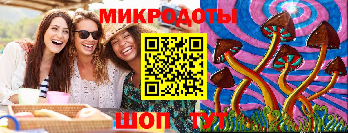 Псилоцибиновые грибы мицелий Бийск