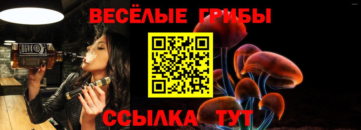 Псилоцибиновые грибы MAGIC MUSHROOMS  Вход с VPN  Бийск 