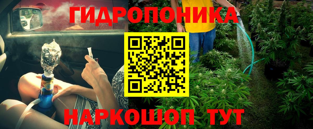 Шишки марихуана LSD WEED  Марихуана Amnesia  Вход с VPN  Бийск  Шишки марихуана марихуана 